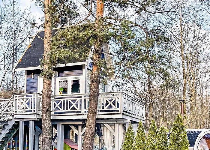 In With Wifi Stare Czaple